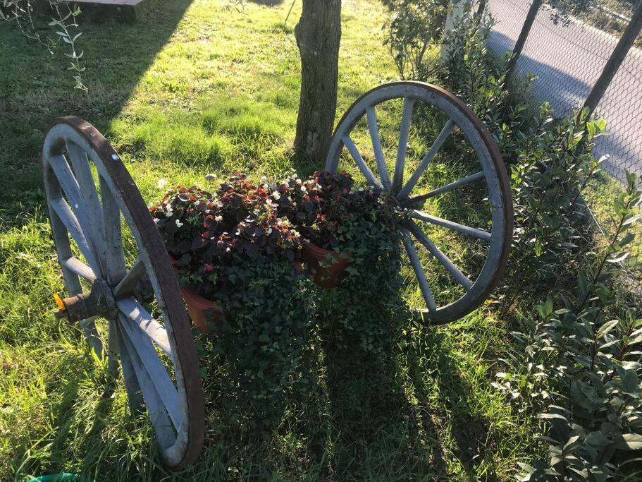 Appartamento Casa Isabelle Canneto  Esterno foto