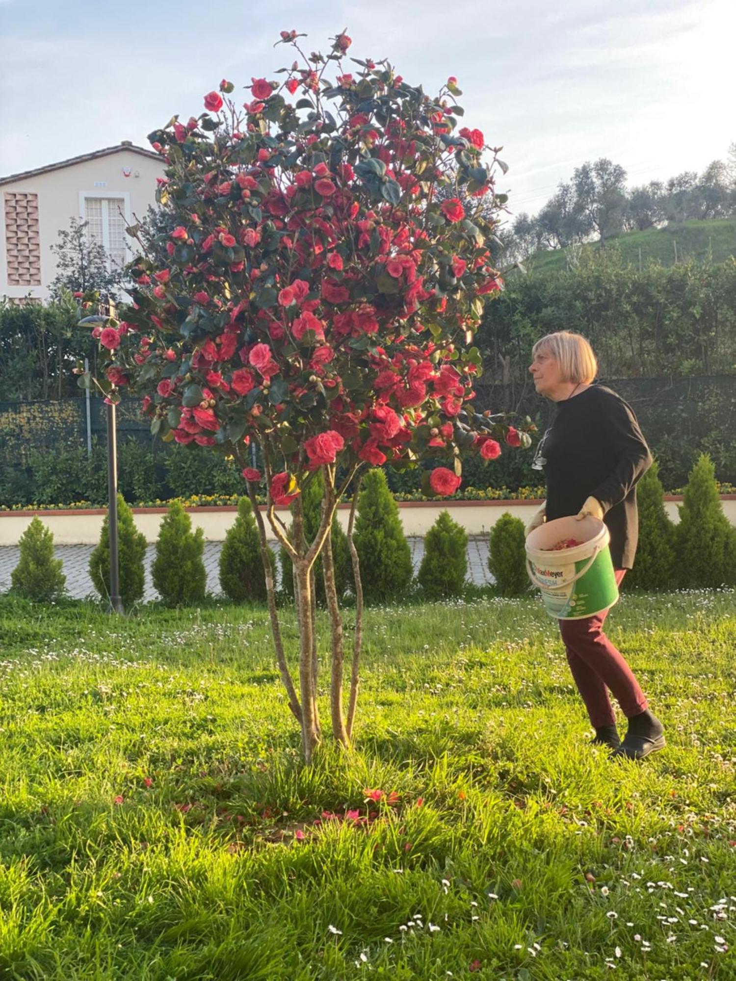 Appartamento Casa Isabelle Canneto  Esterno foto